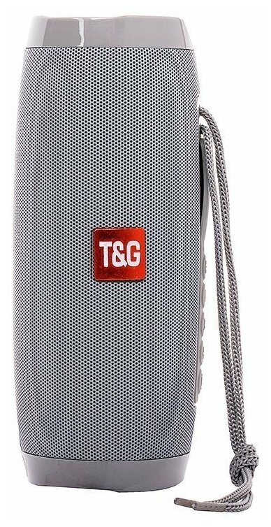 Портативная акустика T&G TG157 CN, 10 Вт, серый