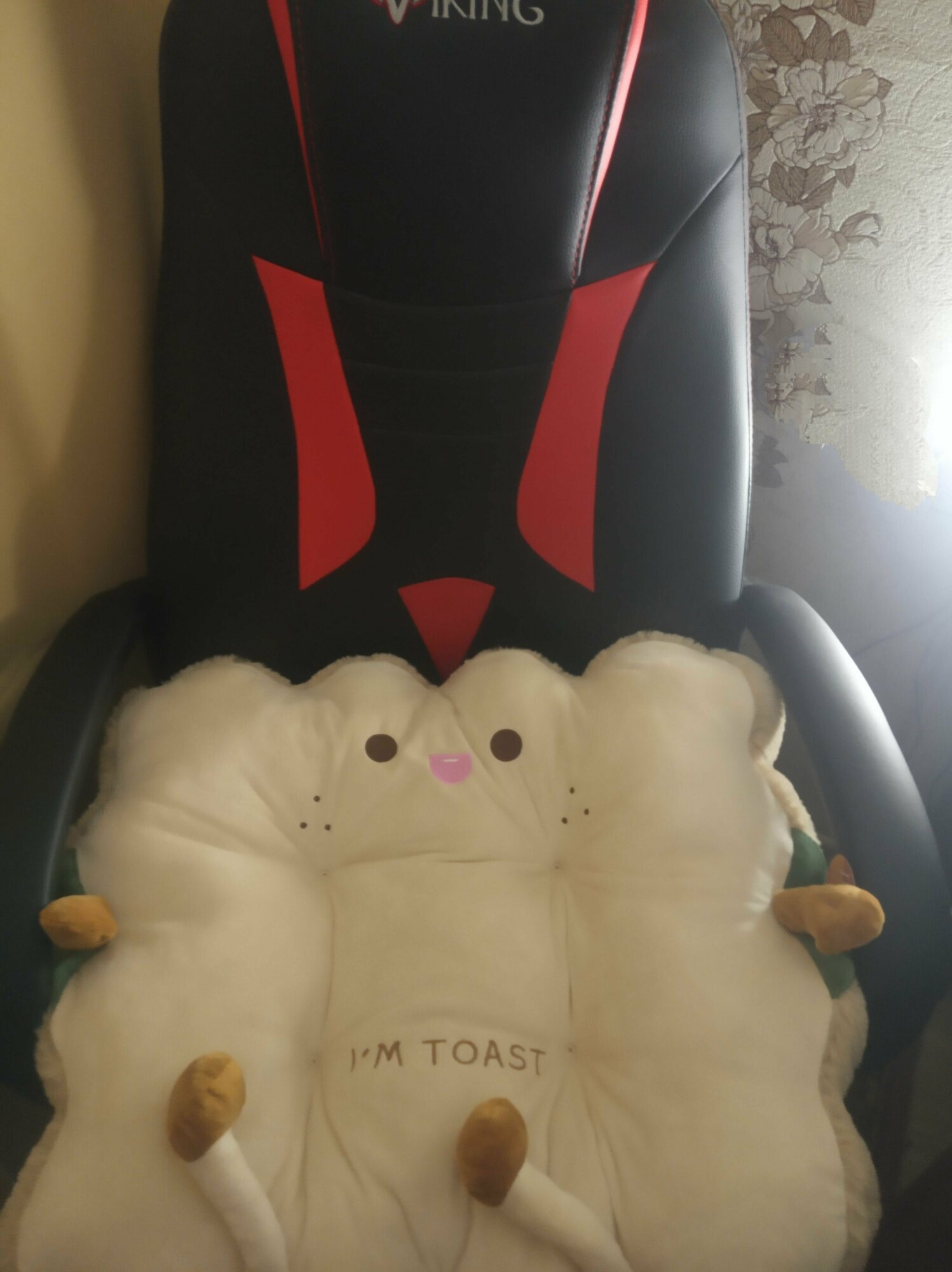 Подушка большая на стул,на кресло на скамью, подушка Тост, размер 58*58 - фотография № 4