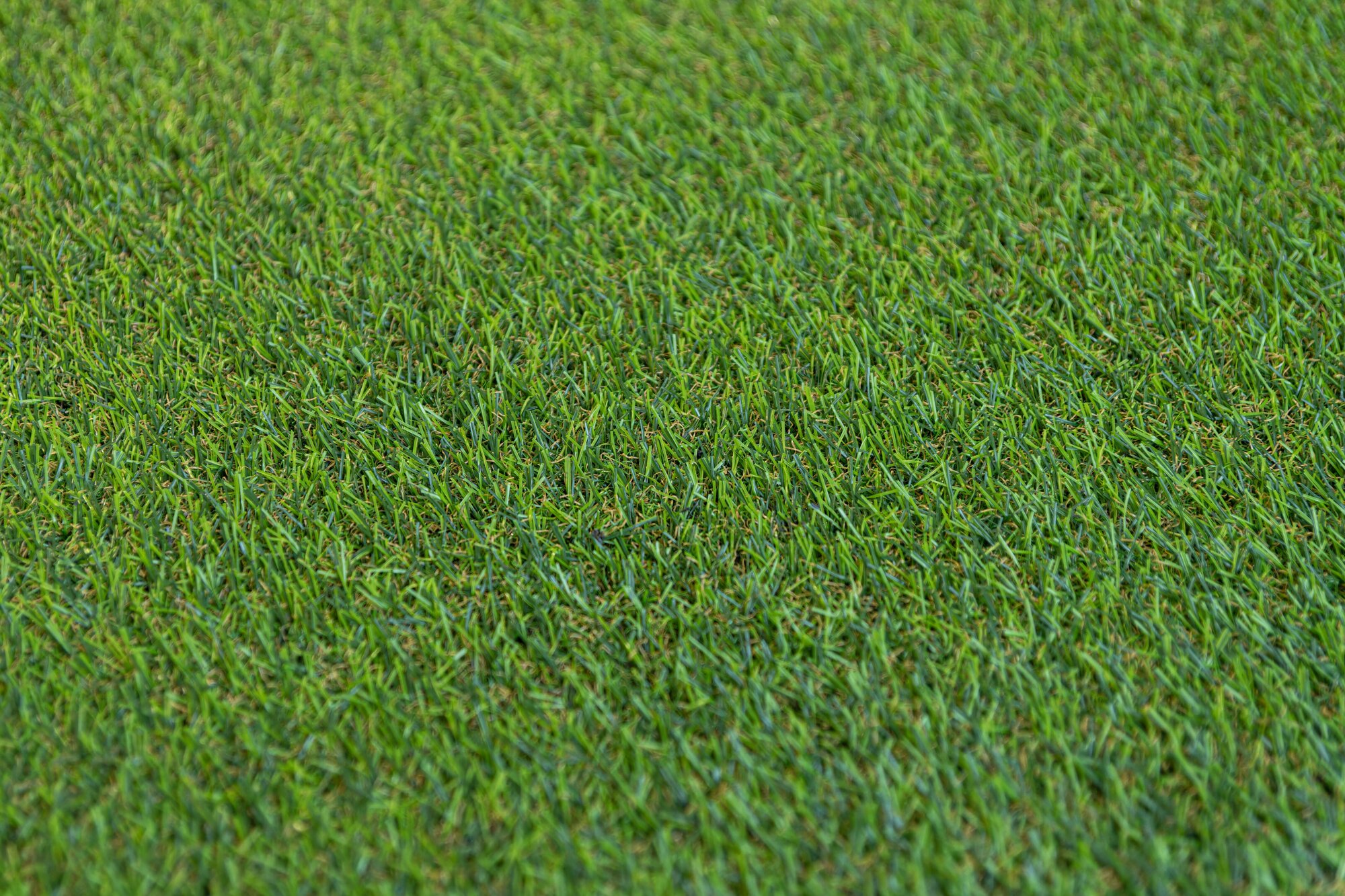 Трава искусственная Grass Fantas 18 4 Tones 18мм, 2х1м, 100% PP, зелено-желтая - фотография № 3