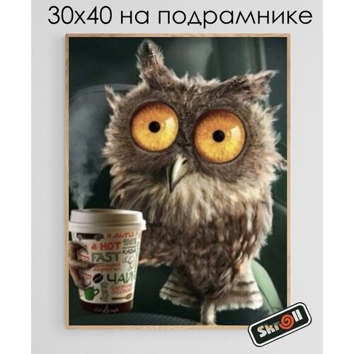 Алмазная мозаика на подрамнике Вышивка Живопись Картина стразами 30х40 см Сова с кофе сложность 4 цветов 20 863₽