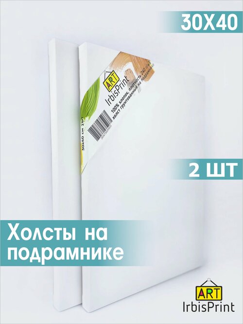 Набор холстов для рисования на подрамнике, акриловый грунт, синтетика, 30х40 см, 2 шт