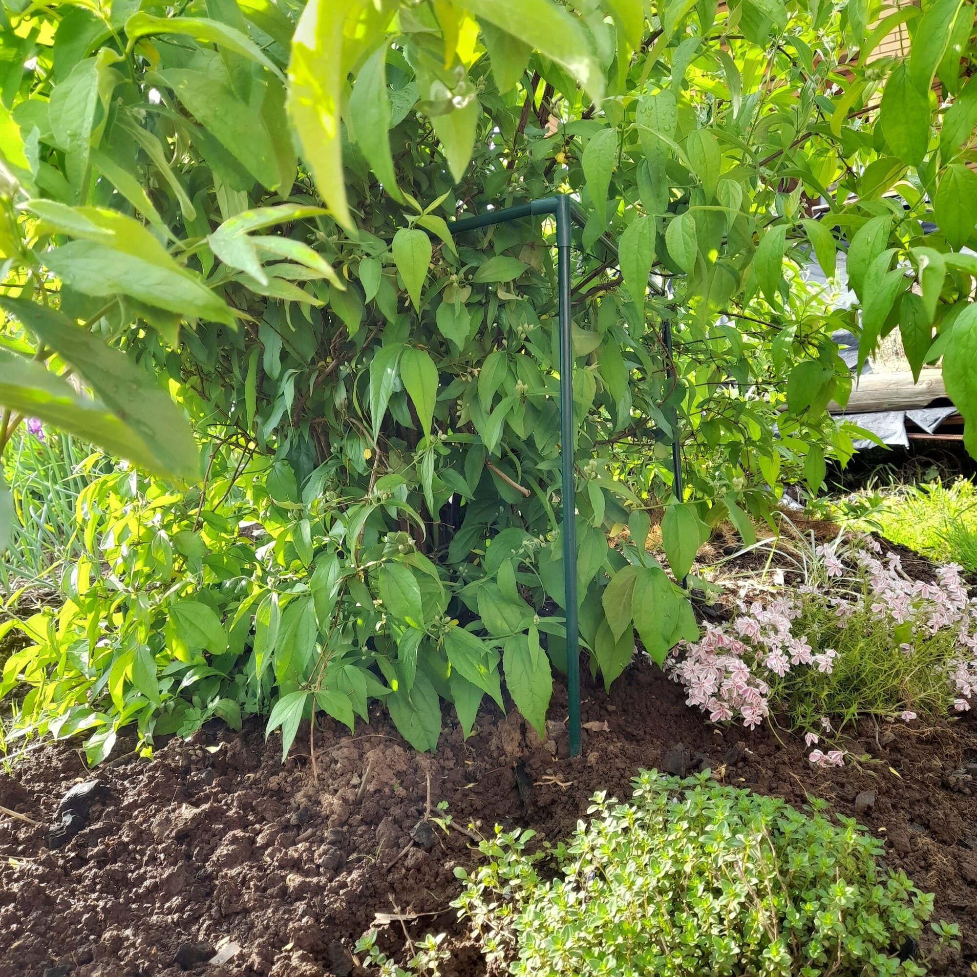 Кустодержатель металлический 1250х550 мм зеленый для сада и огорода - фотография № 7