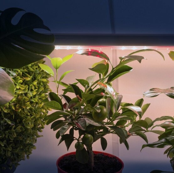 Светильник для растений ЭРА - фото №2