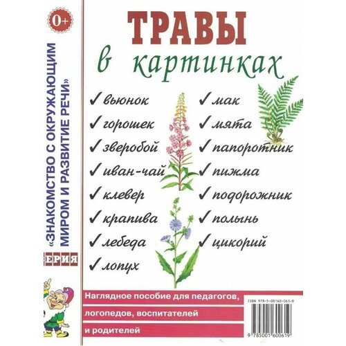 Травы в картинках. Наглядное пособие.