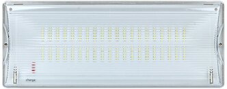 Светильник аварийного освещения SAFEWAY-40 LED EKF Proxima