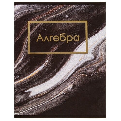 Тетрадь предметная Мрамор темный 48 листов в клетку Алгебра, со справочным материалом, обложка мелованный картон, покрытие софт-тач с тиснением золотой фольгой, блок офсет тетрадь 48 листов в клетку мягкие линии обложка мелованный картон ламинация софт тач тиснение фольгой блок 65 г м2 микс