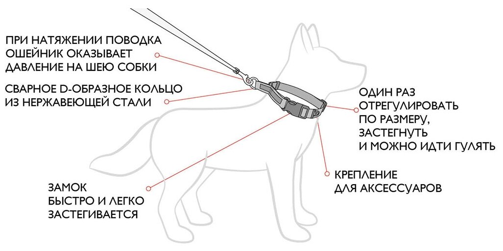 Схема ошейника для собак