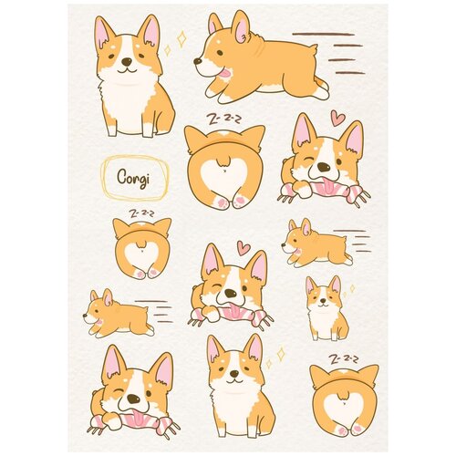 Книга Тетрадь общая. Забавные корги (А5, 48 л., мягкая обложка)