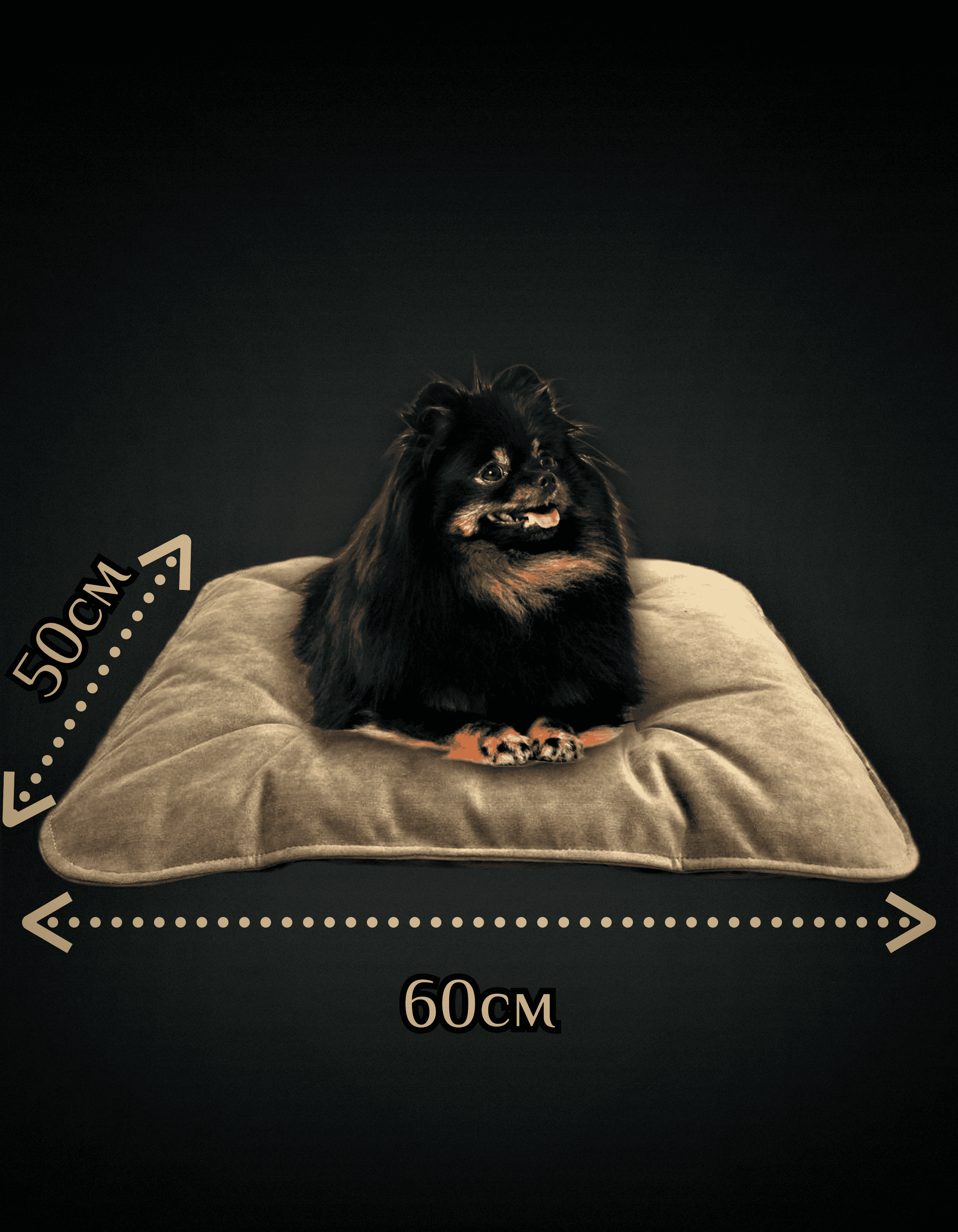 Лежанка для собак лежанка для кошек 50х60 см - фотография № 3