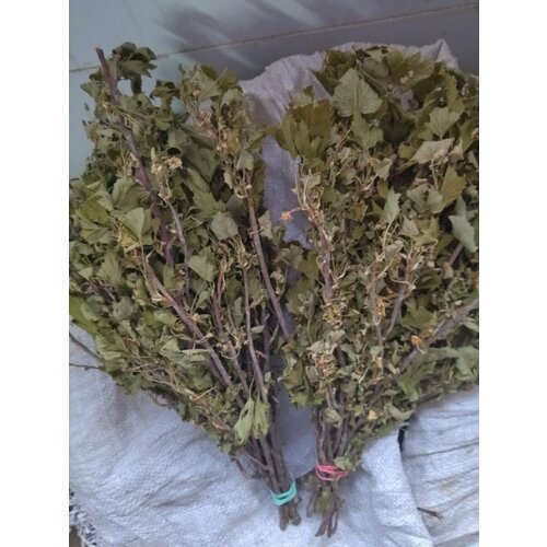 Веничек из черной смородины