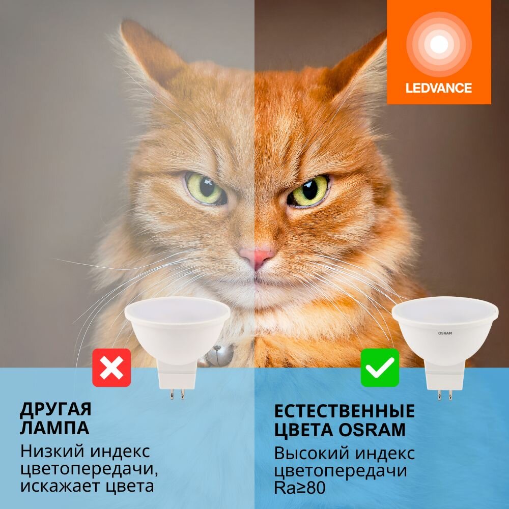 Обзор: Лампочки светодиодные OSRAM LED STAR, 5Вт, 5 шт в наборе, цоколь GU5.3, 6500К холодный белый свет, 400лм, колба MR16 матовая пластик