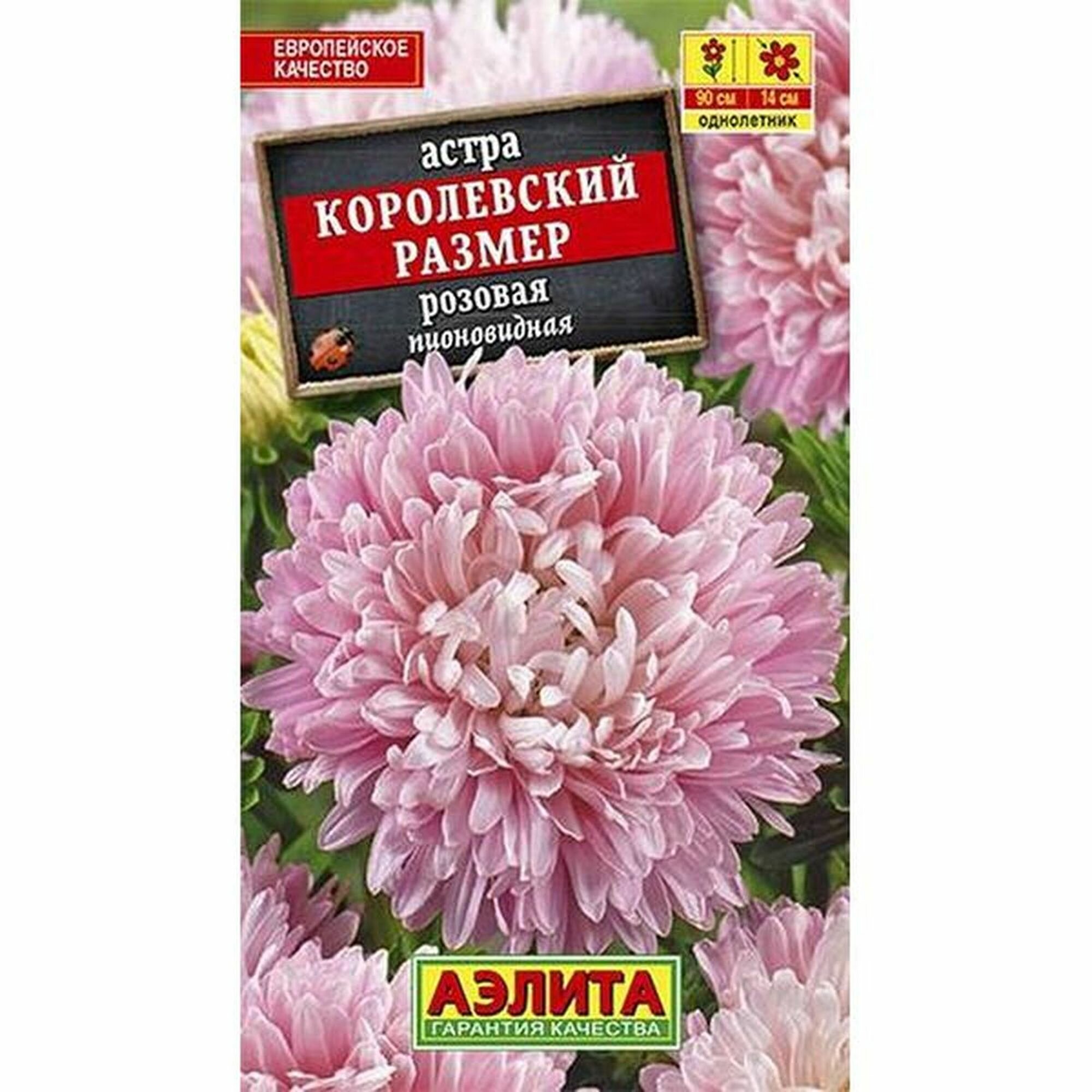 Семена Астра Королевский размер розовая пионовидное однолетник Аэлита 1 пачка - 0.1г семян