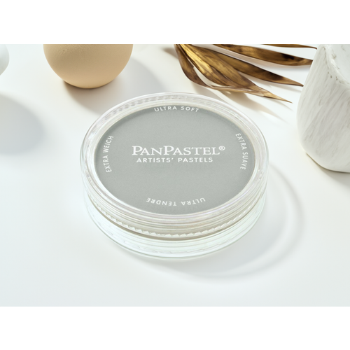 Пастель сухая PanPastel 820.5