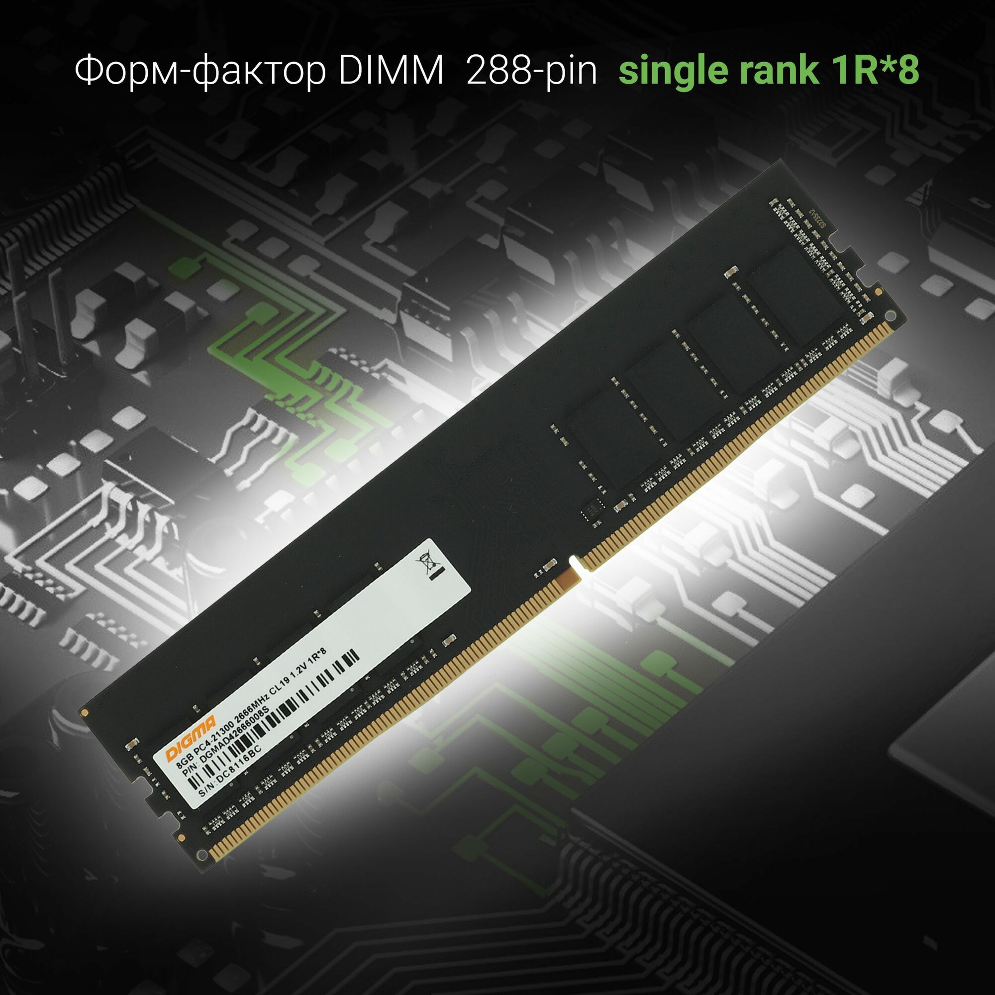 Оперативная память Digma, тип памяти DDR4, объем 8ГБ, скорость 2666МГц, форм-фактор DIMM — фото 1