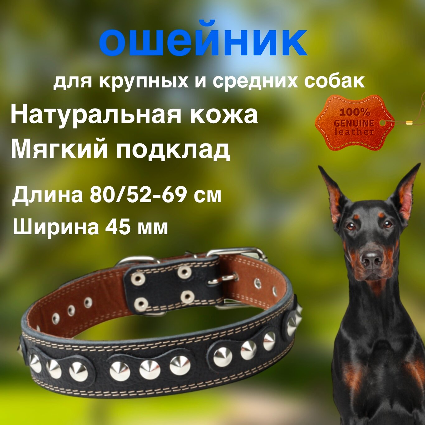 Ошейник, для собак крупных пород, из натуральной кожи, с шипами, с подкладом/черный