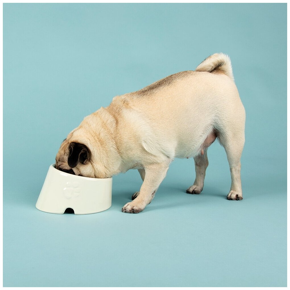 Миска керамическая для плоскомордых пород собак и кошек SCRUFFS "Icon Flat Faced", кремовая, 18х15х10.5см, 280мл (Великобритания) - фотография № 7