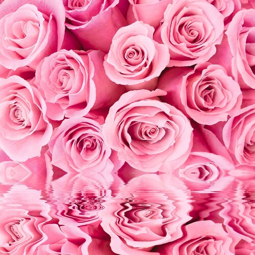 Фотообои виниловые тисненые на флизелиновой основе Ф 024 Розовые розы 200х200см фотообои delicedecor ф 016 каскад 300х270см