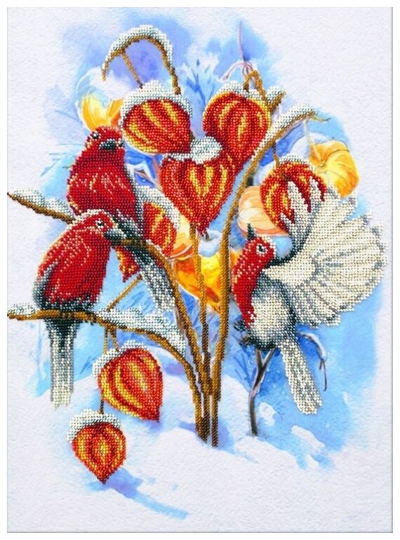 Набор для вышивания «Физалис в снегу», 28x38 см, Паутинка