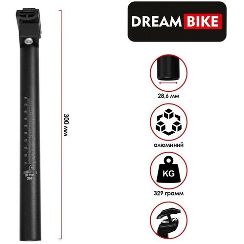   Dream Bike, 28.6300 , ,  