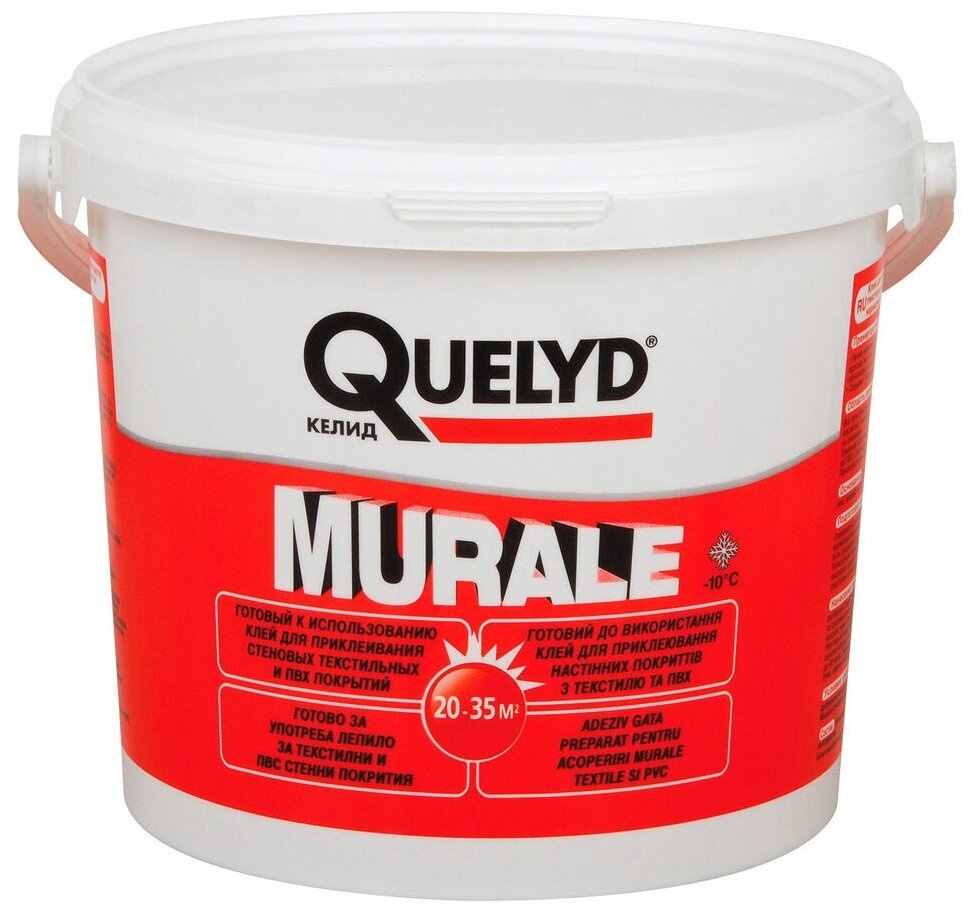     Quelyd Murale    5 