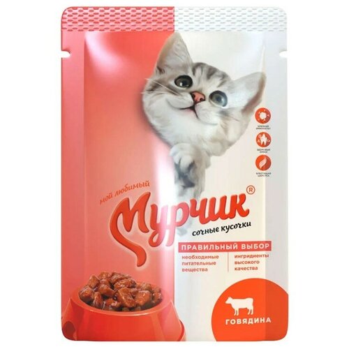 Мурчик для взрослых кошек с говядиной (75 гр х 35 шт)