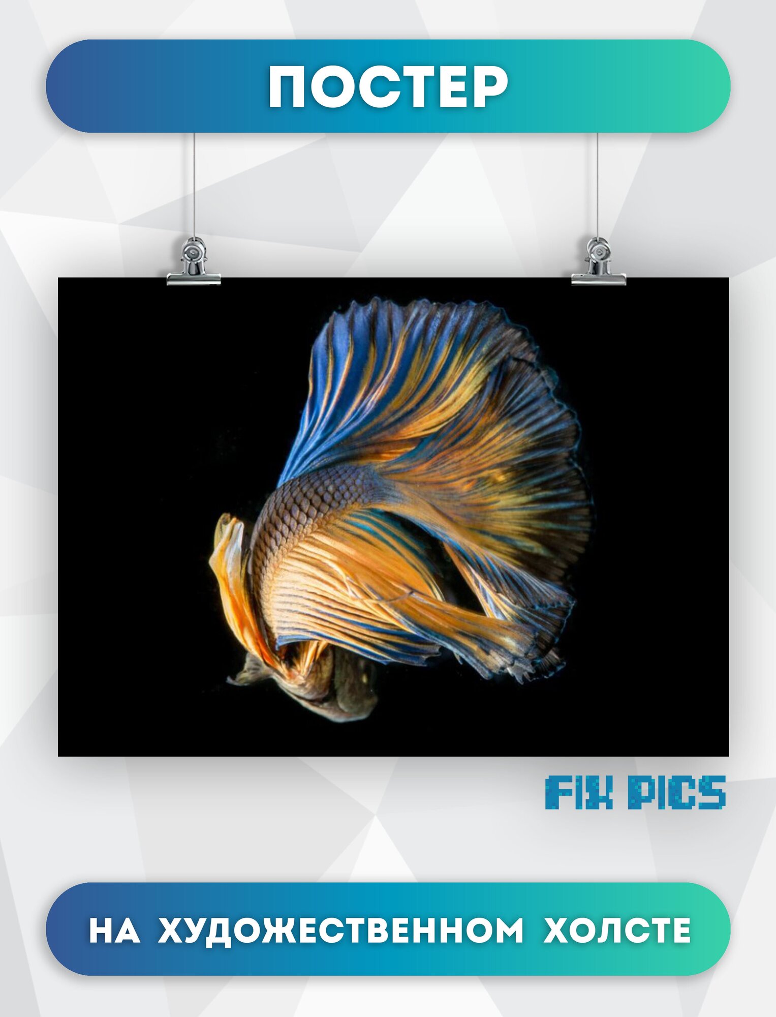 Рыба (9)