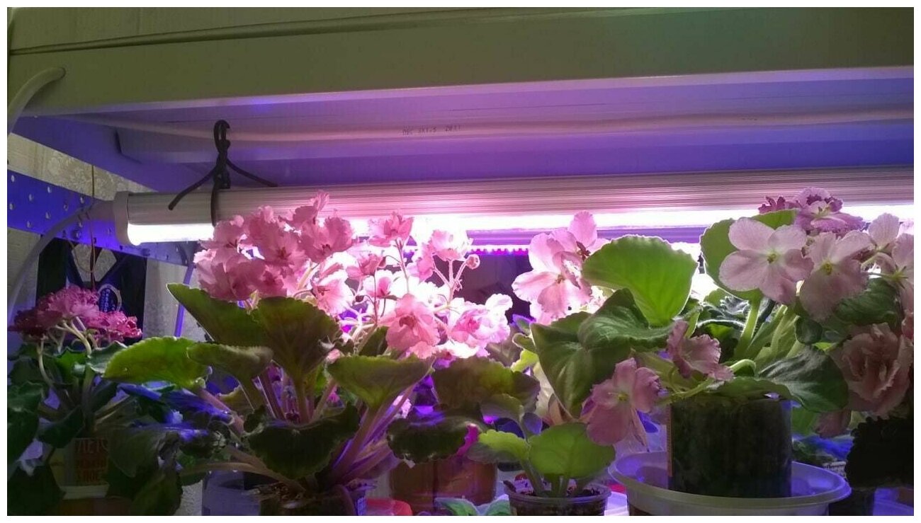 Фитолампа на стеллаж универсальная для любых растений VA-3 90 см, 20 Вт - фотография № 6