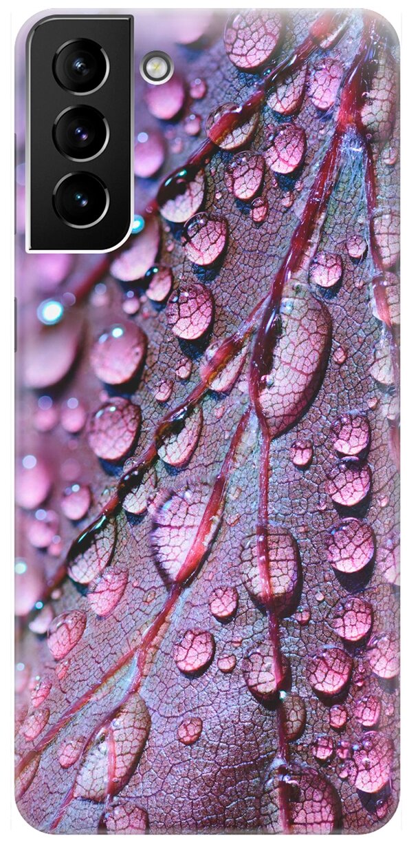 RE: PA Накладка Transparent для Samsung Galaxy S21 Plus с принтом "Лист в каплях"