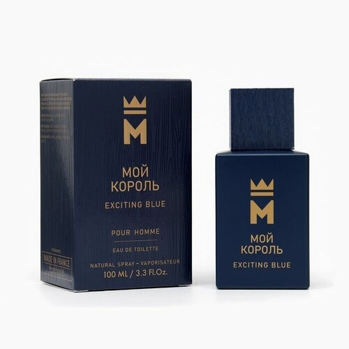 Туалетная вода мужская Мой Король Exciting Blue, 100 мл delta parfum мужской мой король exciting blue туалетная вода edt 100мл