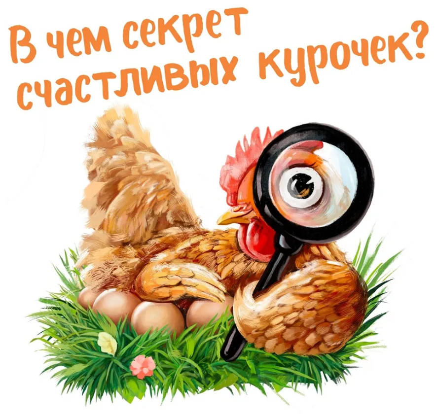 Purina HAPPY комбикорм для кур-несушек от 20 недель, Яйценоскость, 10кг - фотография № 5