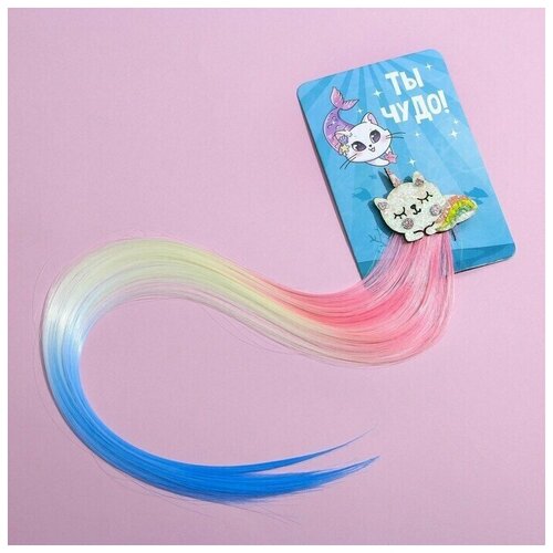 Цветная прядь для волос Ты чудо 548₽