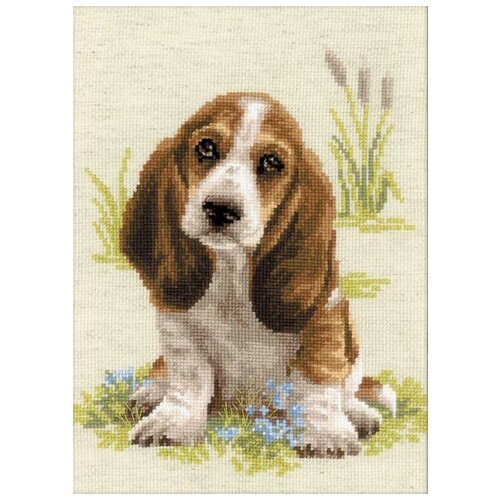 фото Набор малыш бассет 26х38 риолис 1578 1578