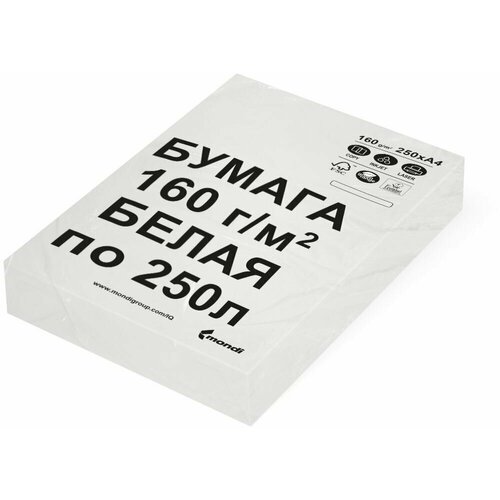 Бумага белая, А4, 2 пачки, 160 г/м2, 250 л