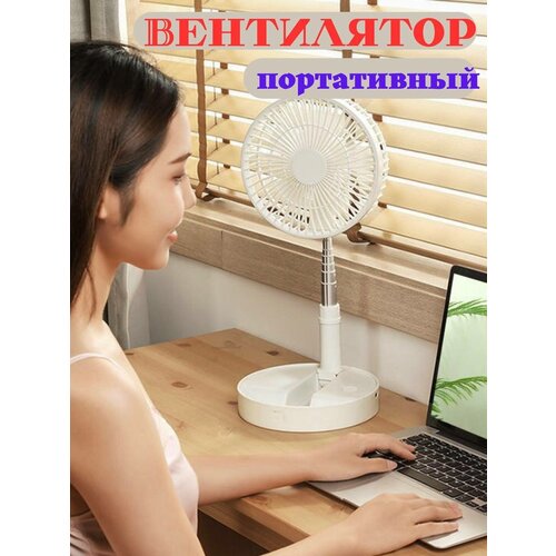 Вентилятор настольный напольный портативный с аккумулятором 179900₽