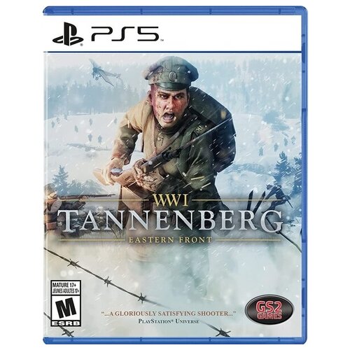 Игра для PlayStation 5 WWI Tannenberg: Eastern Front
