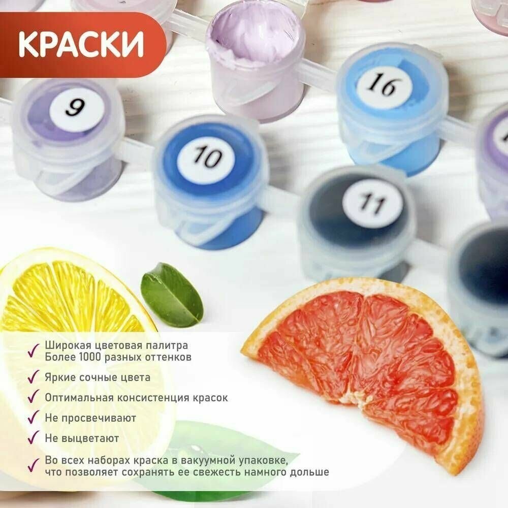 Картина по номерам Molly HR0222 Арт кролик 40х50 см