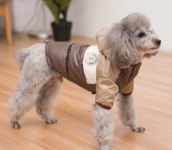Куртка для собак мелких пород Arnydog " Аляска" бежевая, XL ( 34 см ) - фотография № 3