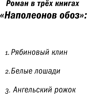 Наполеонов обоз. Книга 2. Белые лошади - фото №9