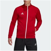 Олимпийка adidas Entrada 22