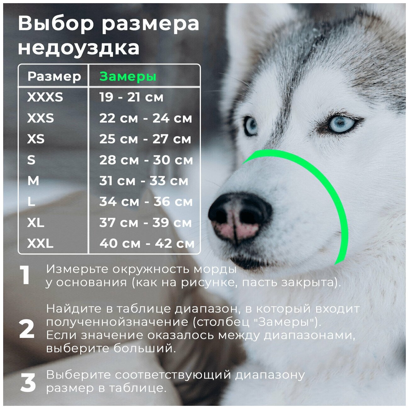 Недоуздок для собак White Wolf (корректор поведения, халти) хаки размер M