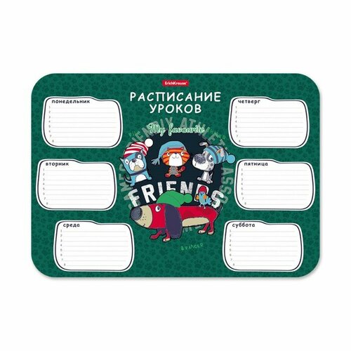 Расписание уроков пластиковое ErichKrause® Adventure Friends, А4, 3 штуки расписание уроков а4 erichkrause к доске 100 шт