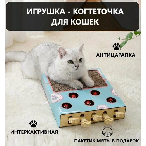 Игрушка - когтеточка 3 в 1 для кошек