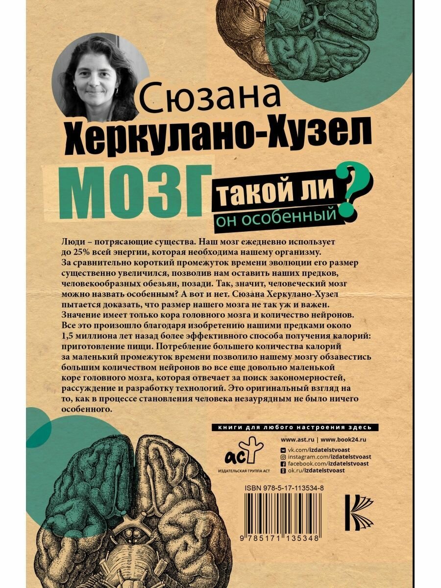 Структурная и функциональная патология сосудов - фото №4