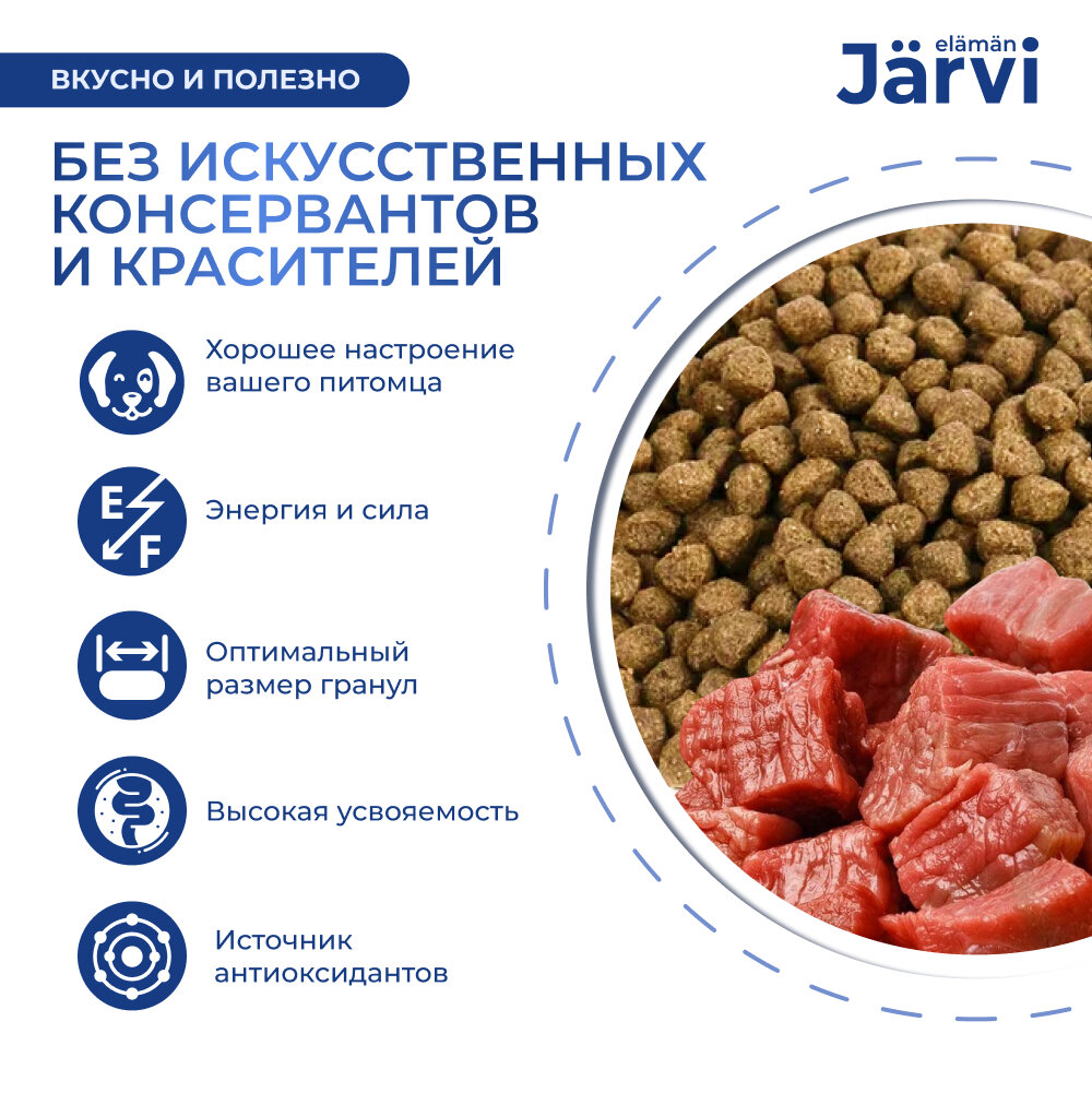 Jarvi сухой полнорационный корм для взрослых собак мелких пород (Говядина, 400 г.) - фото №3