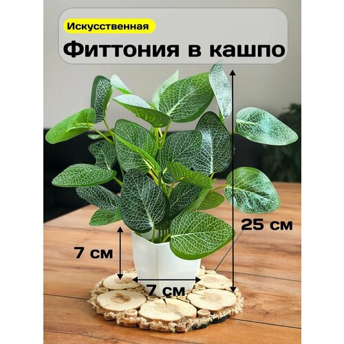 фото Искусственные цветы в горшке фиттония в кашпо greenhol, для декора, высота 25 см