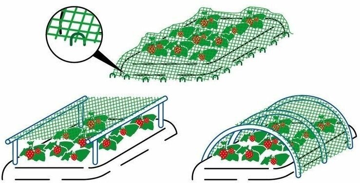 Сетка садовая для защиты урожая от птиц 5х5м - фотография № 1