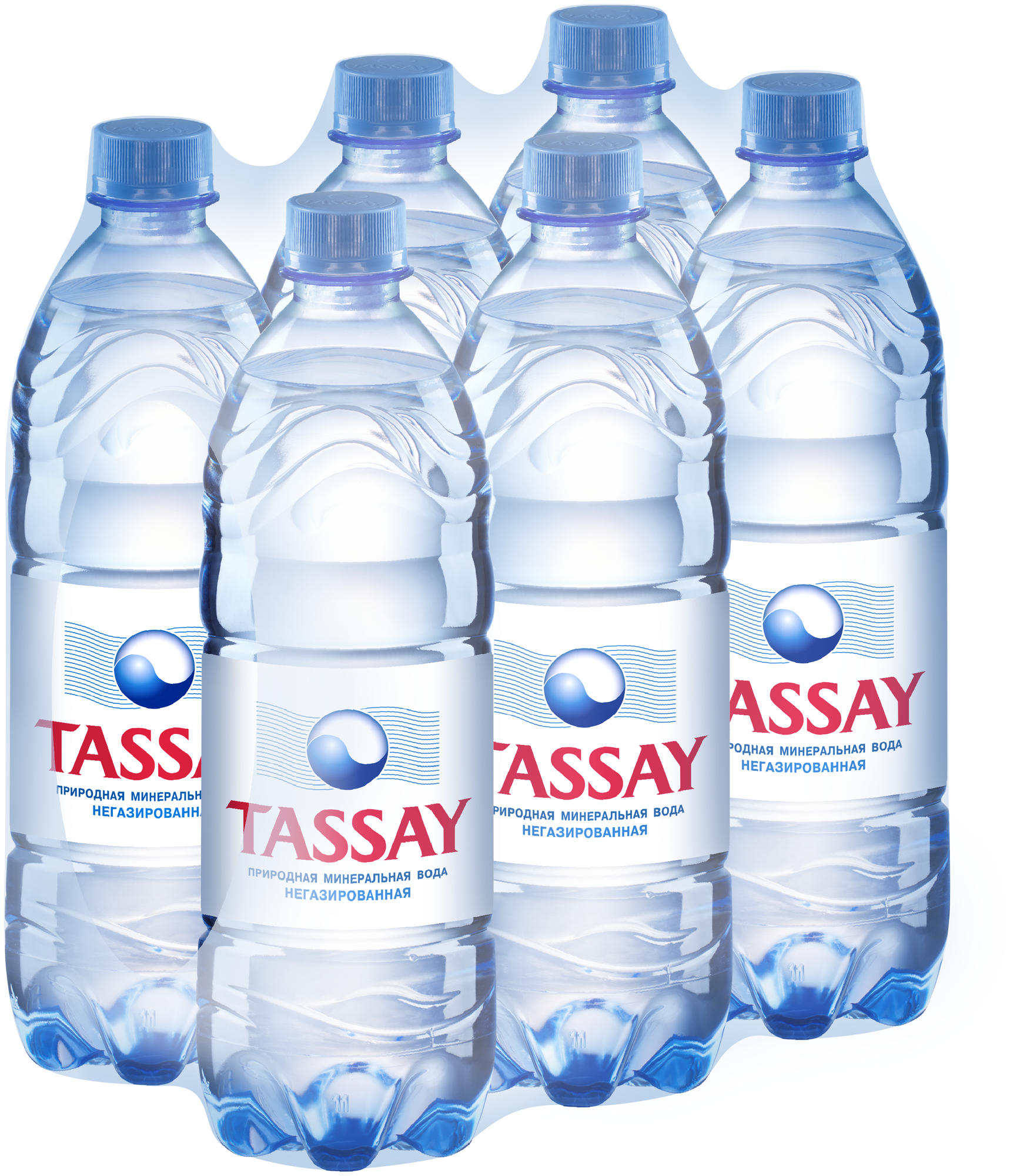 TASSAY/ тассай/ Минеральная природная столовая питьевая вода/ негазированная/ 6 шт. по 1 л - фотография № 1