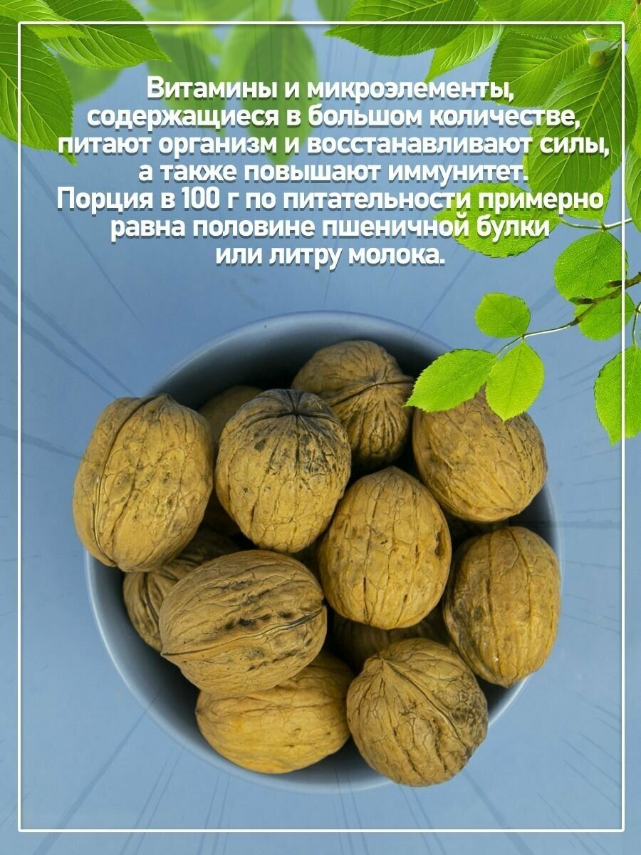 Грецкий орех в скорлупе / новый урожай чили 1000 гр - фотография № 5