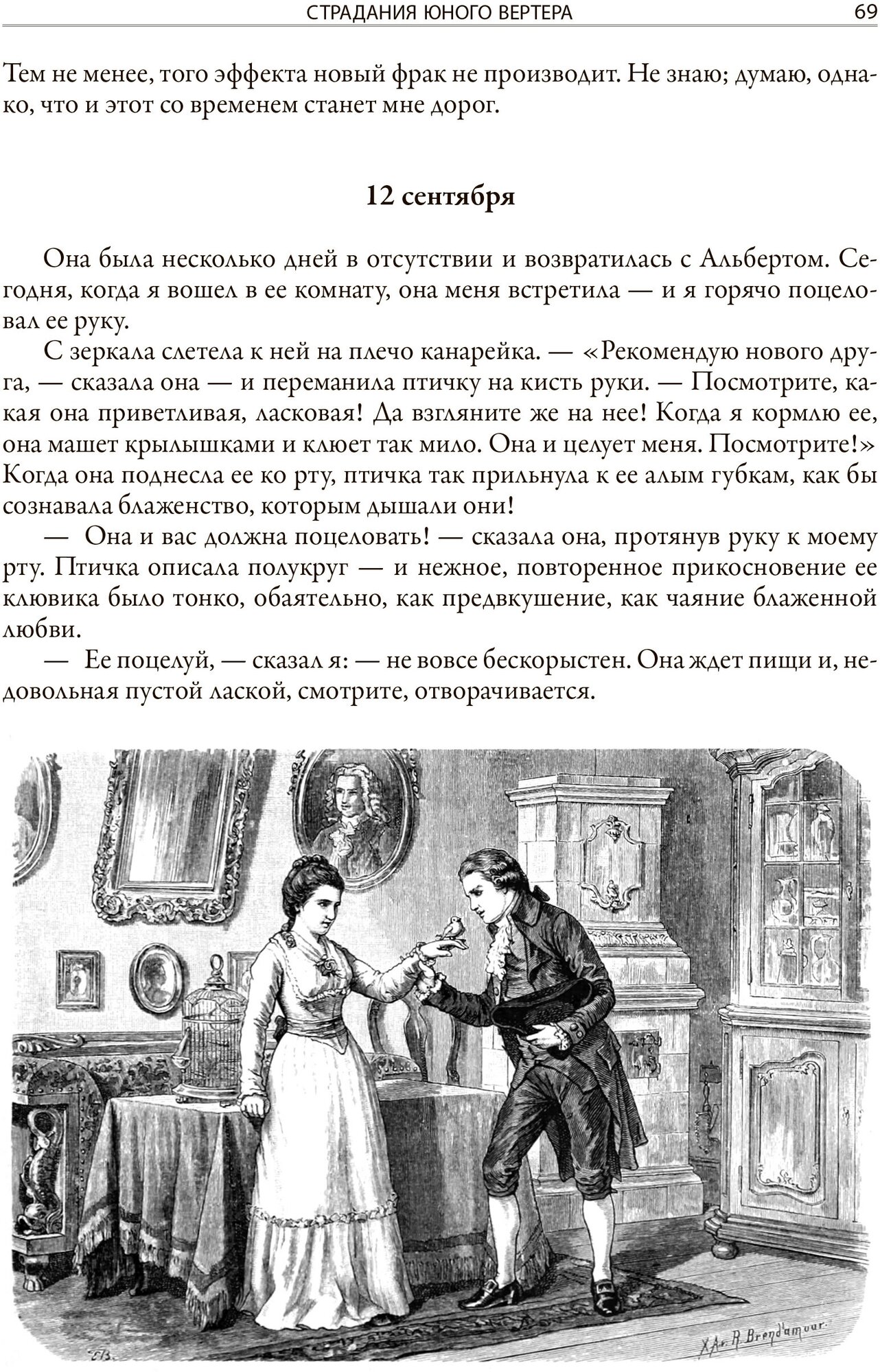 Книга Страдания юного Вертера. Пятнадцатилетний Гете - фото №7
