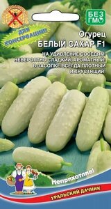 Огурец Белый сахар F1, 12 семечек, Уральский дачник